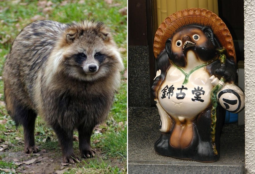 Tanuki in der Folklore